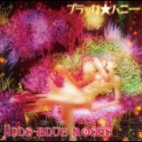 N/JILLS BLUE ROSES摜