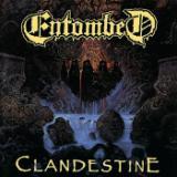 Crawl/Entombed摜