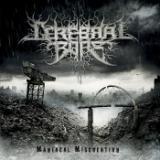 Flesh Reflects The Madness/Cerebral Bore摜