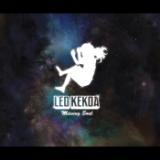 q feat. pNET~Bizzy/Leo Kekoa摜