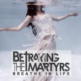 Tapestry Of Me/Betraying The Martyrs摜