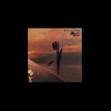 Parachute/The Pretty Things摜