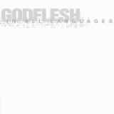 Gift From Heaven (Breakbeat)/Godflesh摜