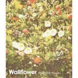 Dreamy Days/Wallflower摜