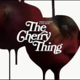 DREAM BABY DREAM/NENEH CHERRYTHE THING摜