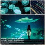 Pray For Plagues/Bring Me The Horizon摜