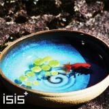 ԉ/isis摜