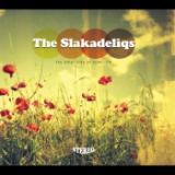 Perfect Summer Night feat. Tingsek/The Slakadeliqs摜