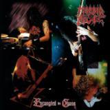 Maze Of Torment (Live)/Morbid Angel摜
