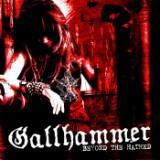 Crucifixion/Gallhammer摜