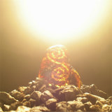 afBXR/SUNDRUM摜