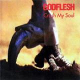 Crush My Soul (Ultramix)/Godflesh摜