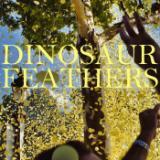 Young Bucks/Dinosaur Feathers摜