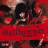 Crucifixion (Rehearsal)/Gallhammer摜