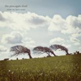 What Have We Sown?/The Pineapple Thief摜