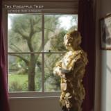 Barely Breathing/The Pineapple Thief摜