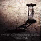 VIORET RAINS/Lustknot.摜