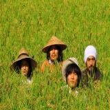 lCeBEWpj[Y/GAJAGAJA摜