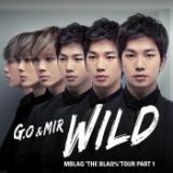 Wild/WI~ (MBLAQ)摜
