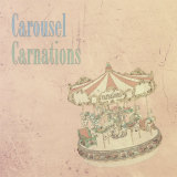 -2146826259/Carnations摜