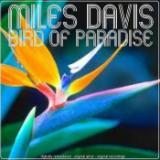 Dont Blame Me/Miles Davis摜