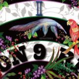 REVOLUTION BOOGIE/REVOLUTION 9摜