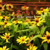 N̖/Silent Sprout摜