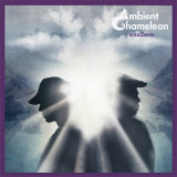 Rockin Ya Speakaz/Ambient Chameleon摜