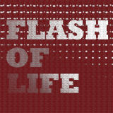 FLASH OF LIFE/HIEROPHANT GREEN摜