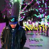 New Fly/SWING-B摜