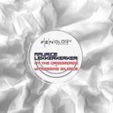Witnessing Silence (Radio Edit)/Maurice Lekkerkerker摜