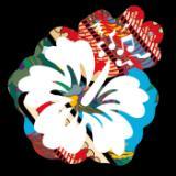 PUPL ST remix/AMA LIFE摜